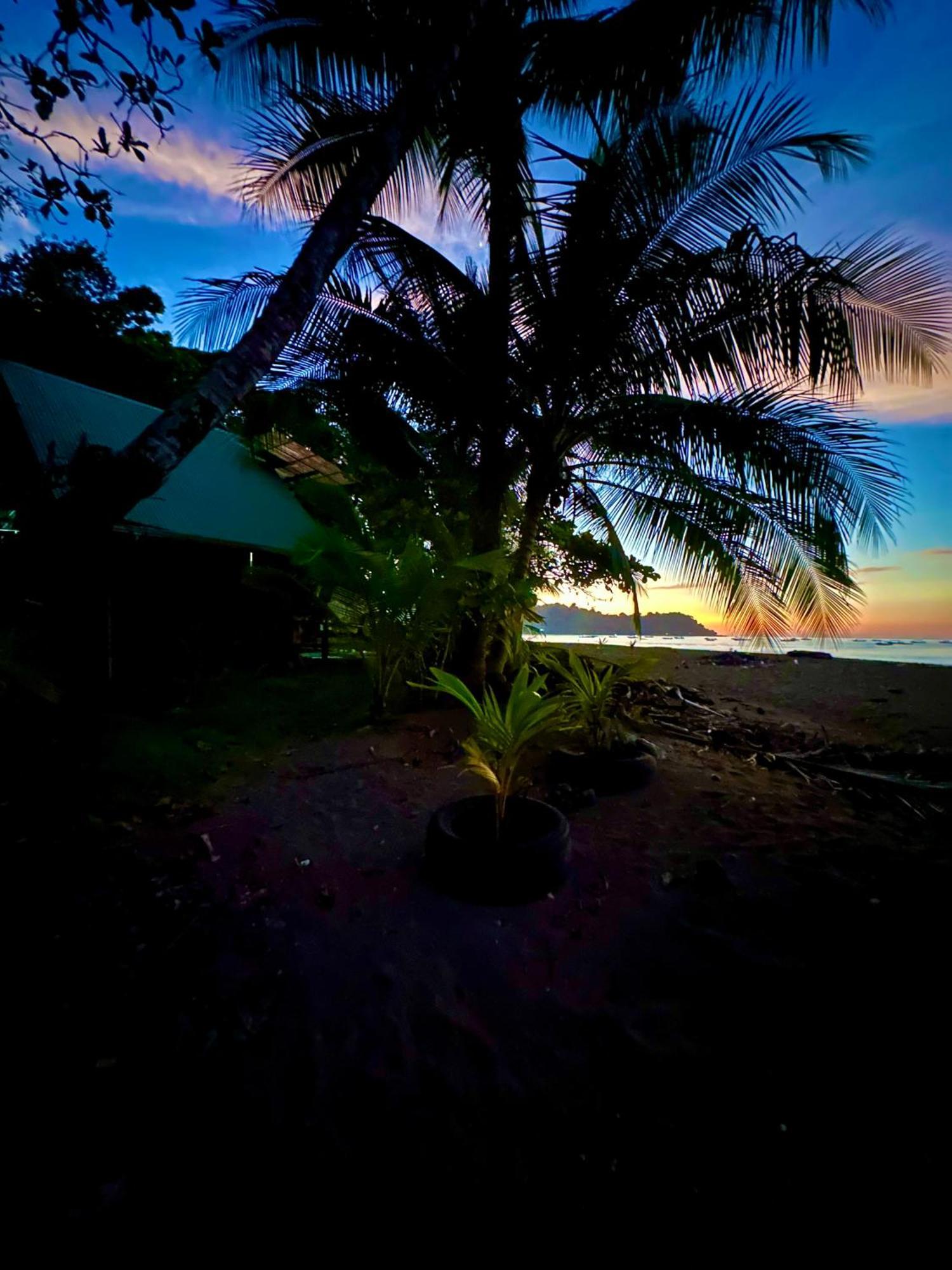 Beach House Drake Bay Exterior foto